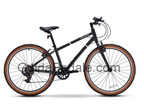 Raleigh Pop 24 scheda tecnica e recensioni